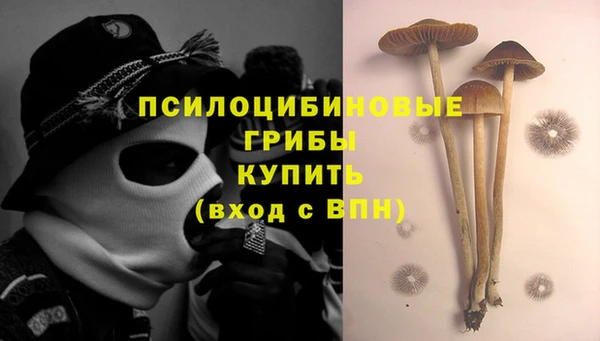 СК Балахна